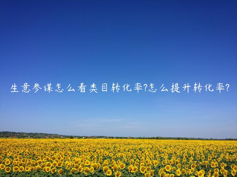 生意參謀怎么看類目轉(zhuǎn)化率?怎么提升轉(zhuǎn)化率?